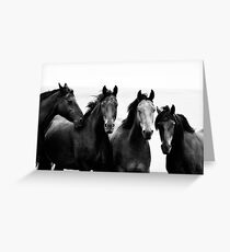 Mares Greeting Card