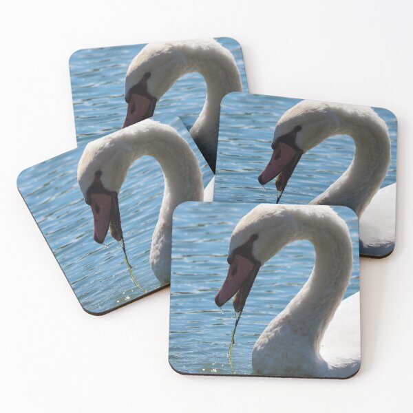 Item preview, Mute Swan Up-close Eating In The Water designed and sold by BackyardBirder.