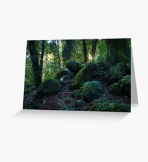 Sunset Through the Trees Greeting Card