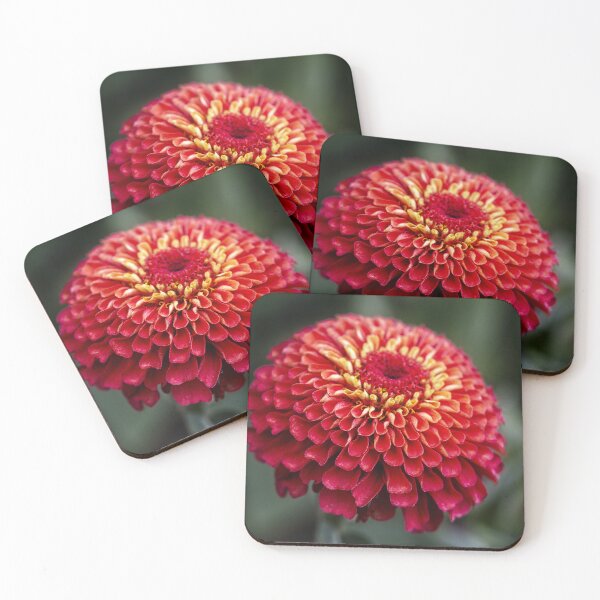 Item preview, Zinnia Red Flower designed and sold by Catherine Reading.