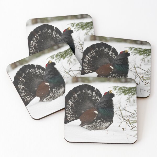 Item preview, The King. Western capercaillie designed and sold by Jouko Lehto Photography.