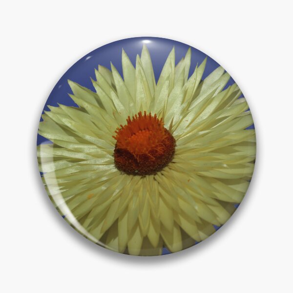 Item preview, Pretty Paper Delightful Daisy designed and sold by KazM.