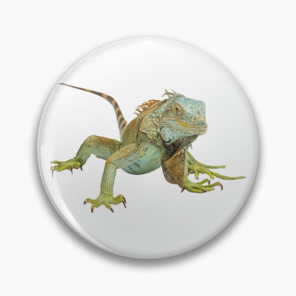 Item preview, Iguana  designed and sold by connortees.