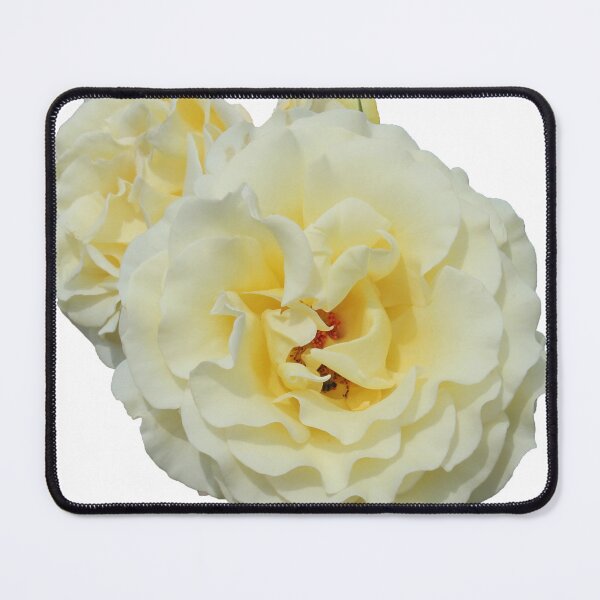 Item preview, Creamy Roses designed and sold by KazM.