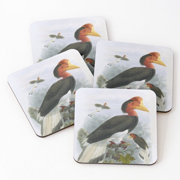 Item preview, Helmeted Hornbill (Rhinoplax vigil) by J. G. Keuleman (modified with photo filter) designed and sold by TheCurators.