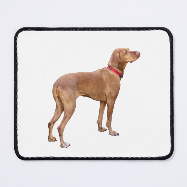 Item preview, Hungarian Shorthaired Pointing Dog Vizsla designed and sold by Valdaliso.