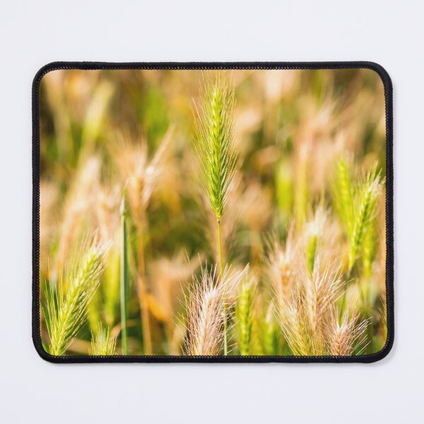 Item preview, false barley nature photo designed and sold by Valdaliso.