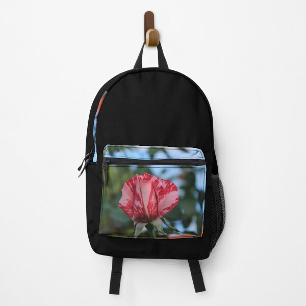 Item preview, Pink & Red Varigated Rose designed and sold by KazM.