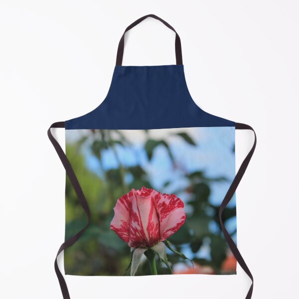 Item preview, Pink & Red Varigated Rose designed and sold by KazM.