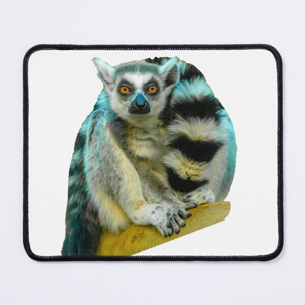 Item preview, Ring-tailed Lemur designed and sold by Dalyndigital Photography.