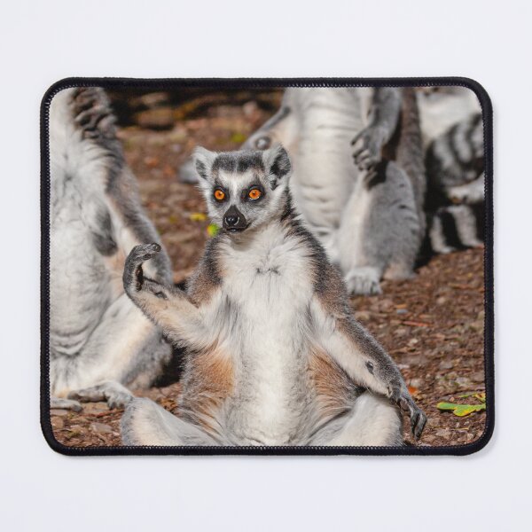 Item preview, Bring on the Sun designed and sold by Dalyndigital Photography.