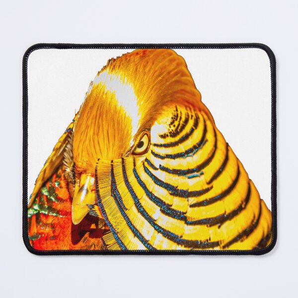 Item preview, Gorgeous Golden Pheasant  designed and sold by Dalyndigital Photography.