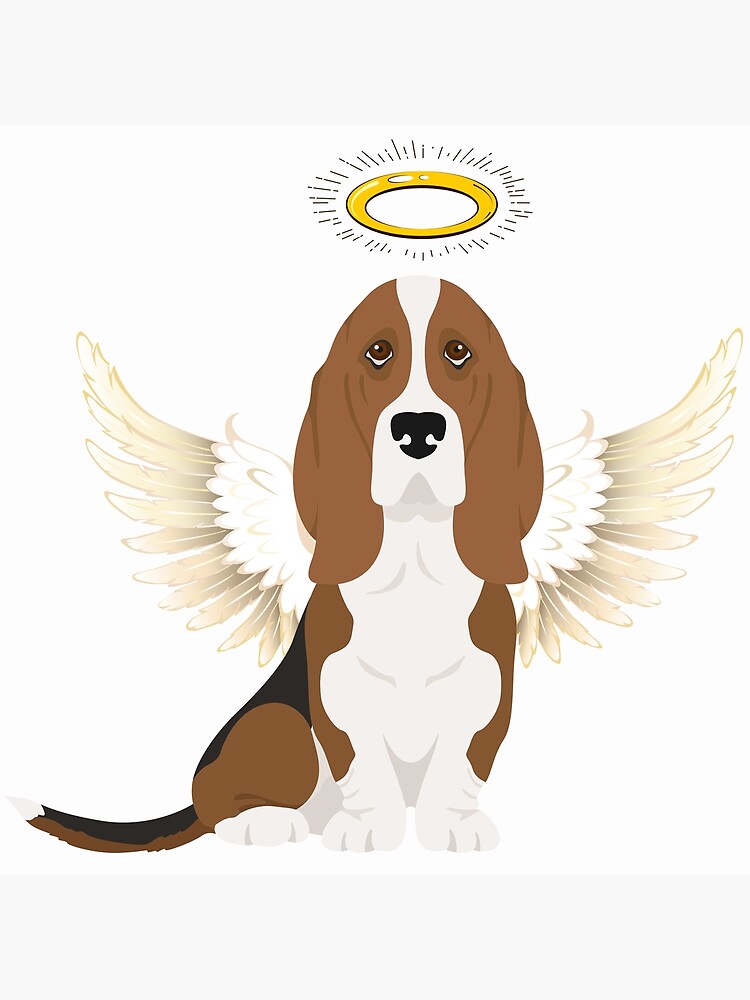 Basset hound shops angel