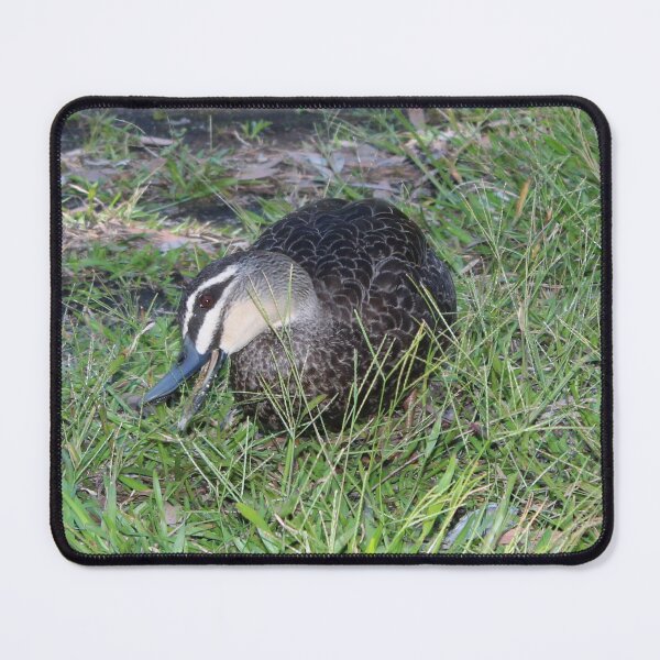 Item preview, Delightful Duck designed and sold by KazM.