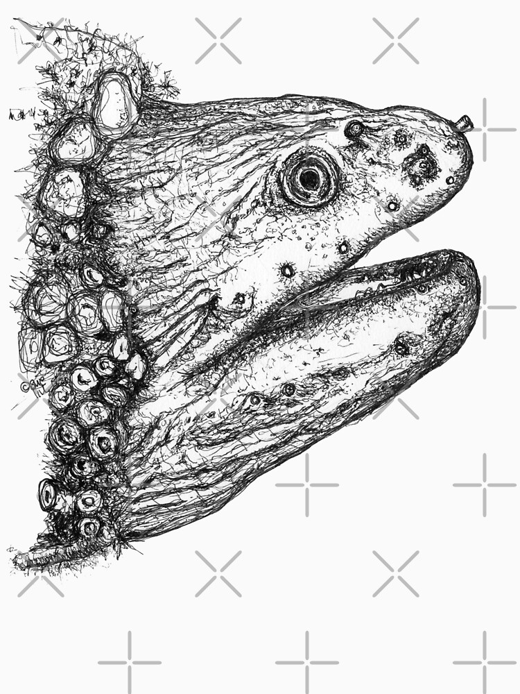 Fozzie the Moray Eel by Wildcard-Sue