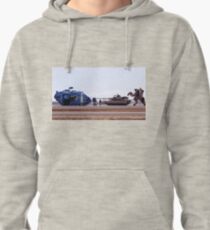 Real life size chart Pullover Hoodie