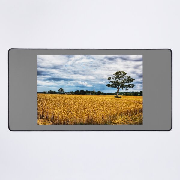 Item preview, St James' Church, Louth, Behind The Trees, Lincolnshire designed and sold by Paul Thompson Photography.