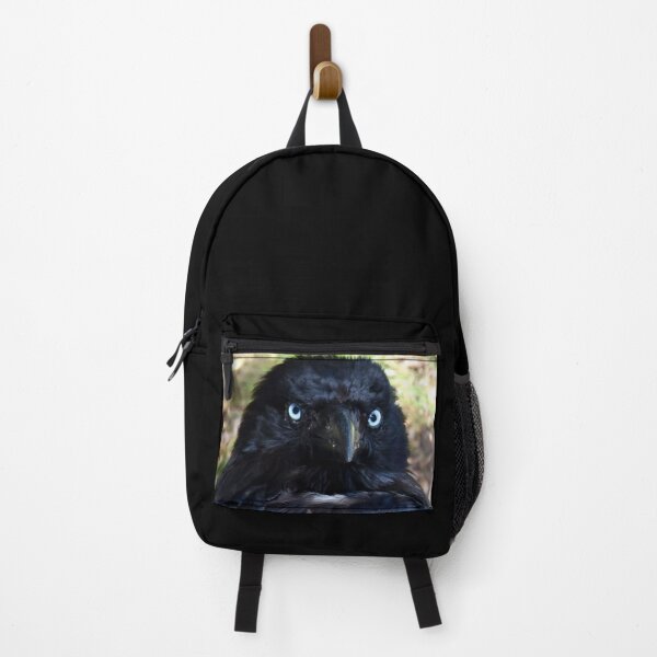 Item preview, Torresian Crow Photography designed and sold by Digitaldingo.