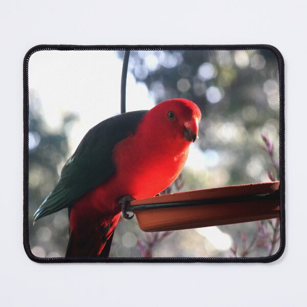 Item preview, Pretty Polly Parrot designed and sold by KazM.
