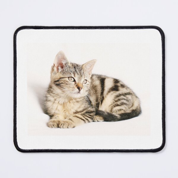 Item preview, Cute Cat designed and sold by Dipzz.