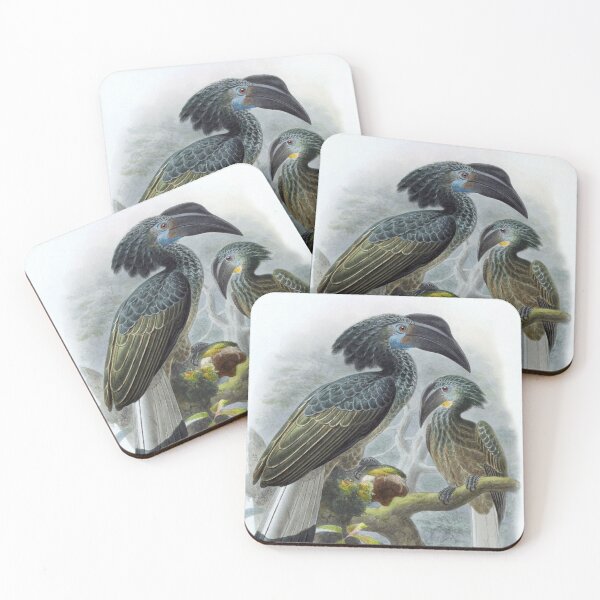 Item preview, Bushy-crested Hornbill (Anorrhinus galeritus) by John Gerrard Keuleman designed and sold by TheCurators.