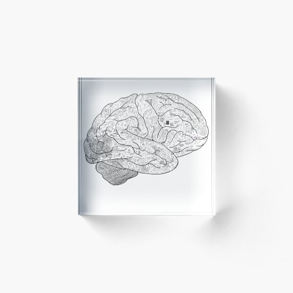 EXPLAIN THE BRAIN Acrylic Block