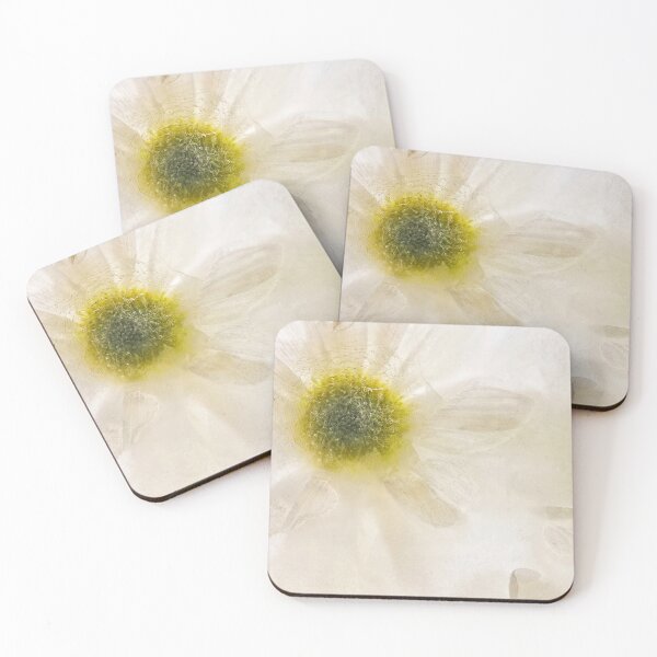 Item preview, 005 Frozen Flower Project designed and sold by Paul Croxford.