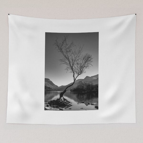 Item preview, Plain Mono Image of the Lonely Tree designed and sold by Wildwales.