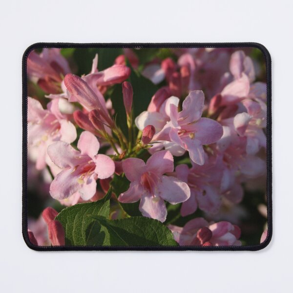 Item preview, Pink Flower Clusters designed and sold by tomorrowsart.