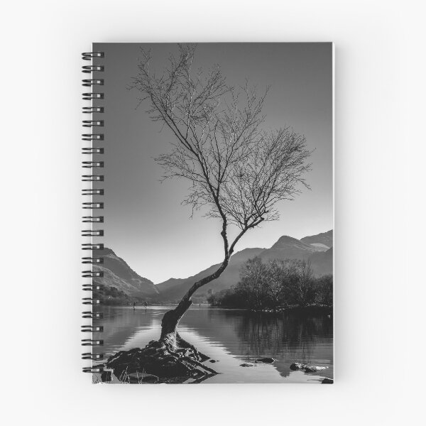 Item preview, Plain Mono Image of the Lonely Tree designed and sold by Wildwales.
