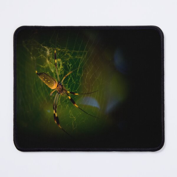 Item preview, Trichonephila Clavipes Spins Golden Silk Webs designed and sold by alabca.