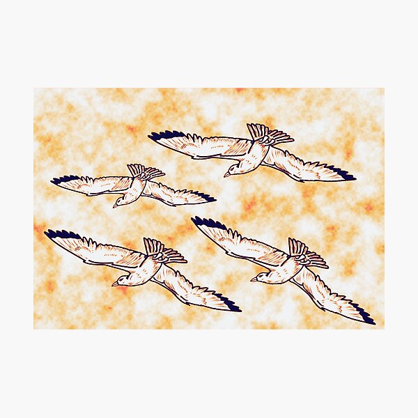 Item preview, Migration dad hats- Flying birds migrating (Herring Gulls) 11 designed and sold by Midnightviera.