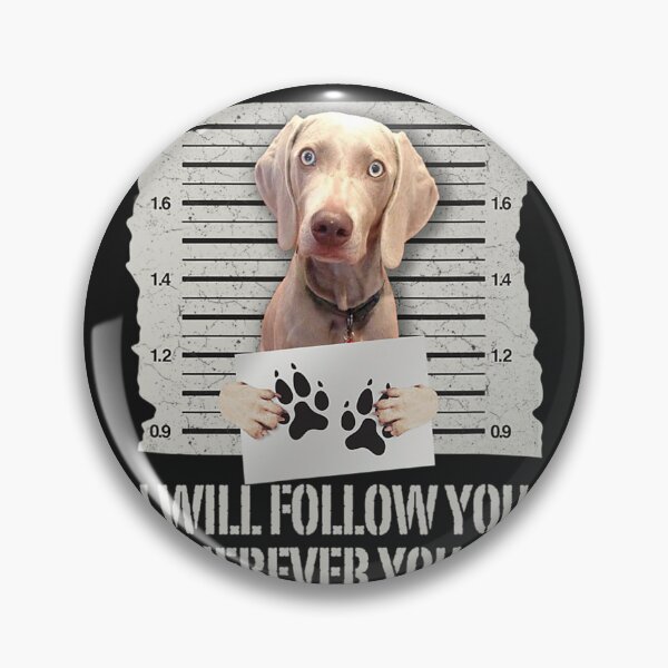 Item preview, Personal Stalker Weimaraner T-Shirt designed and sold by TheresaKrammer.