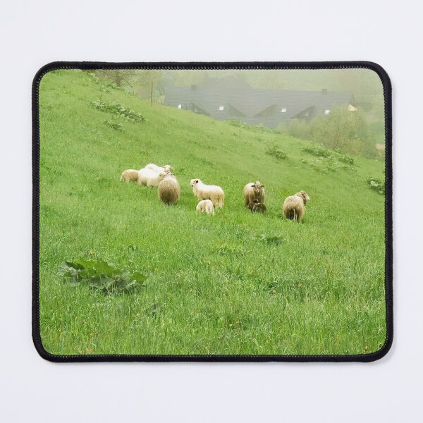 Item preview, Sheep chilling designed and sold by AugmentedYou.