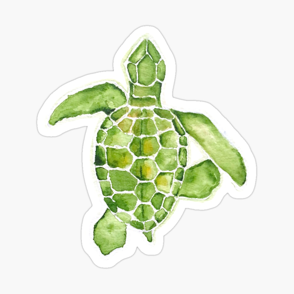 Watercolor turtle  Sticker for Sale by cait-shaw