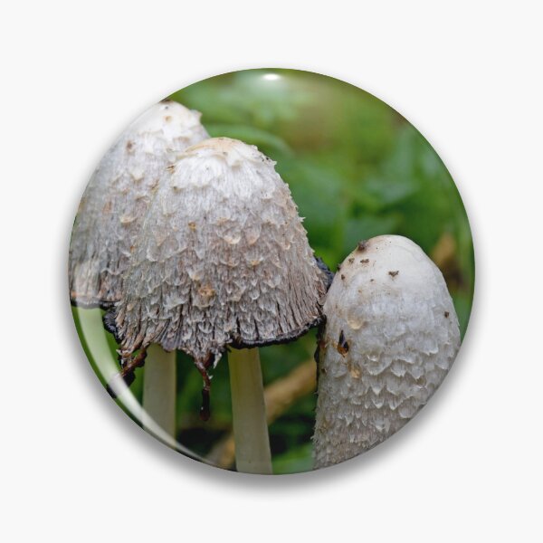 Item preview, Shaggy Ink Cap mushrooms designed and sold by Random Railways.
