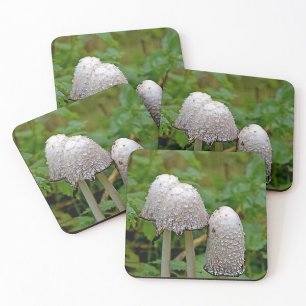 Item preview, Shaggy Ink Cap mushrooms designed and sold by Random Railways.