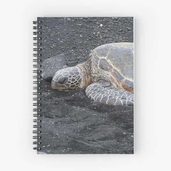 Item preview, Hawksbill Turtle designed and sold by JSquaredDesign.