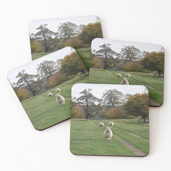Item preview, Coming to Meet You! designed and sold by Roxyphotography.