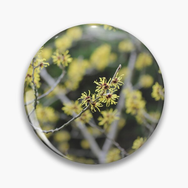Item preview, Witch Hazel designed and sold by ASTRID EWING.