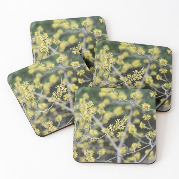 Item preview, Witch Hazel designed and sold by ASTRID EWING.