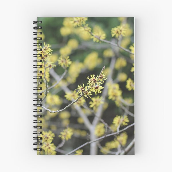 Item preview, Witch Hazel designed and sold by ASTRID EWING.