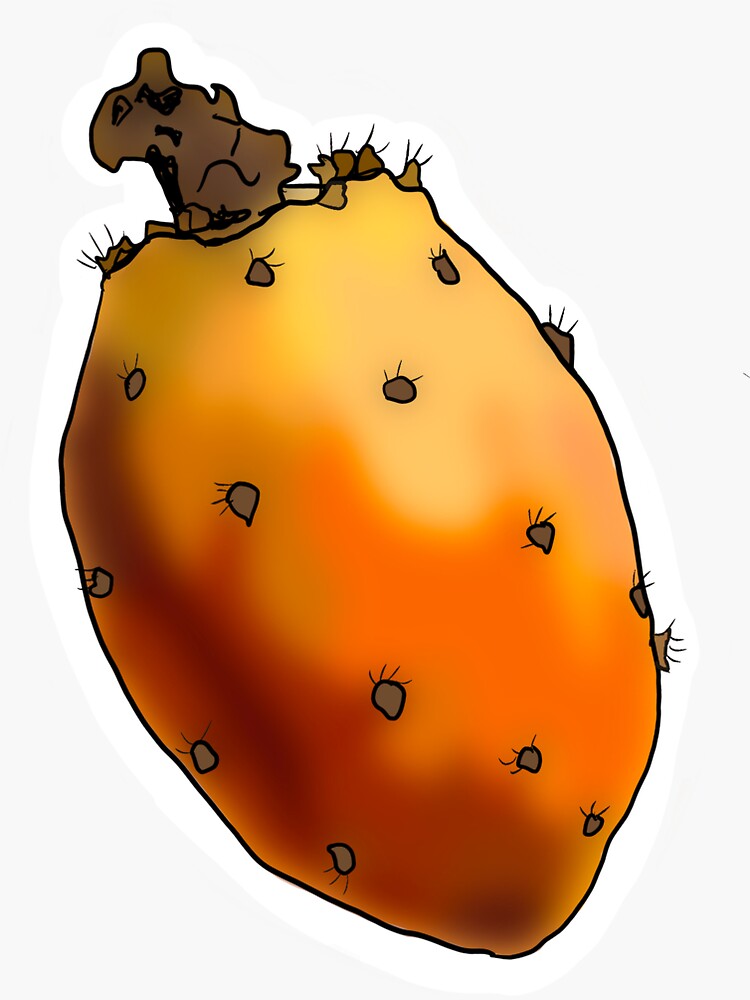 "Sabra Drawing Prickly Pear, Cactus Fruit " Sticker for Sale by anna