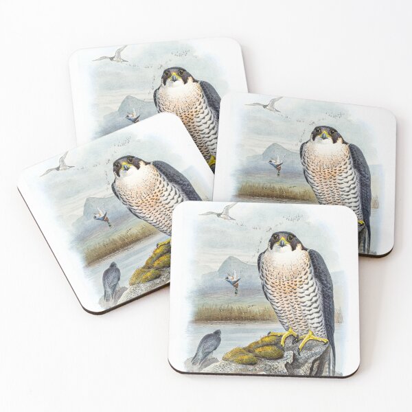 Item preview, Raptor - Illustration of the Peregrine Falcon designed and sold by JulienBProd.