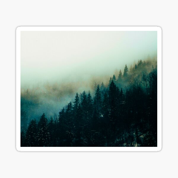 A Wall Art Canvas Picture Print Forest Fog Autumn Trees 3.2 
