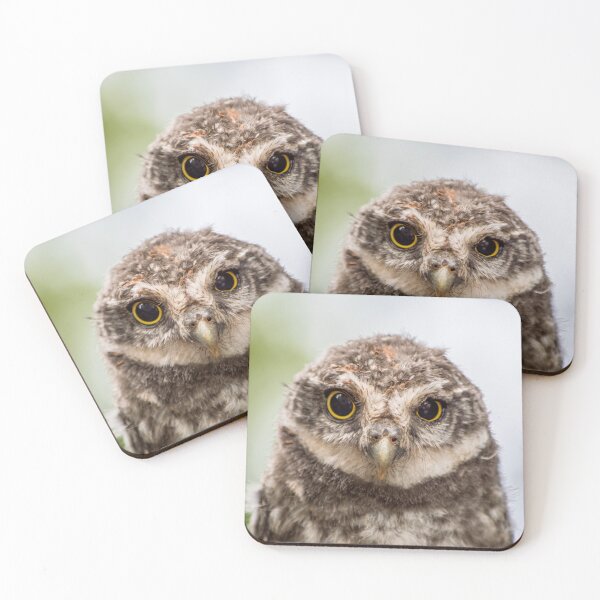 Item preview, Owl designed and sold by Raureif.