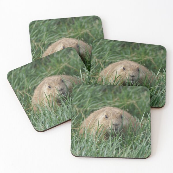 Item preview, Rodent designed and sold by Raureif.