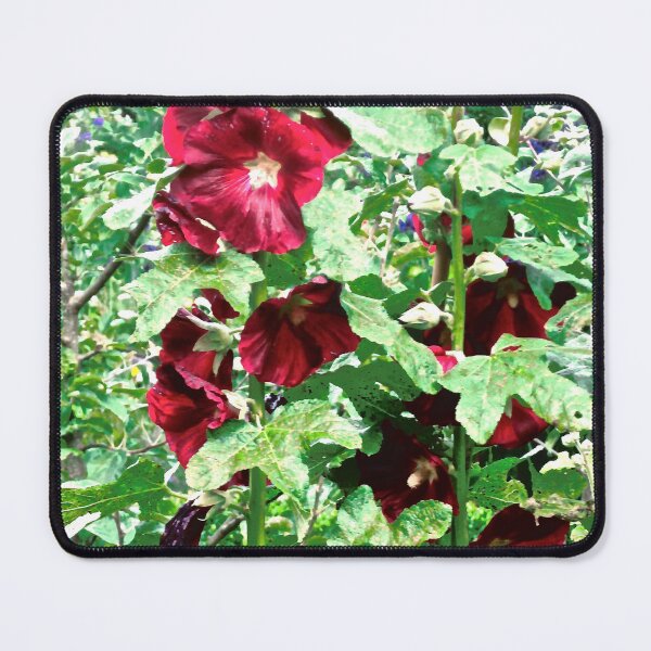 Item preview, Hollyhocks designed and sold by Shulie1.