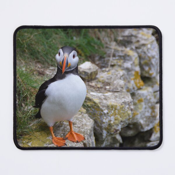 Item preview, Cute Puffin! designed and sold by sjfreeman88.