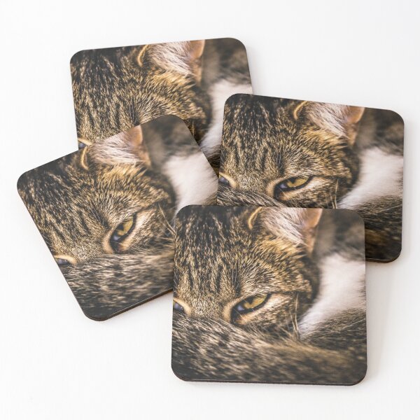 Item preview, Cat taking a nap designed and sold by Raureif.